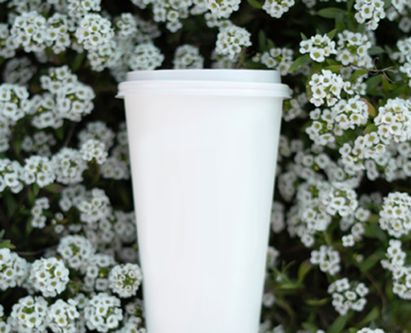 stock-photo-beef-taco-mexican-food-moody-elegance-rustic-charm-soft-and-dreamy-lighting-warm-and-muted-2468456021 1 (12)